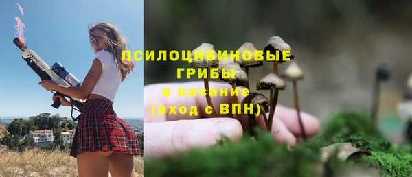 apvp Алексеевка