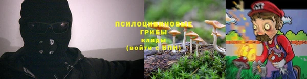 соль курить ск Алзамай