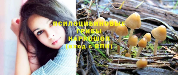 apvp Алексеевка