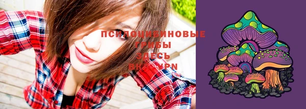 apvp Алексеевка